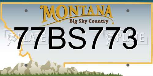 77BS773 Montana License Plate