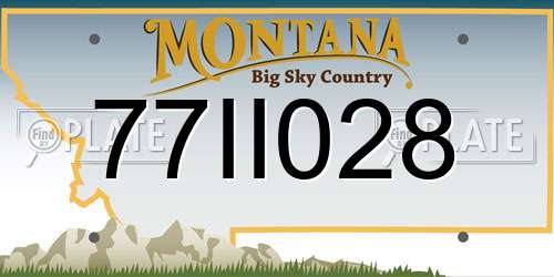 77II028 Montana License Plate