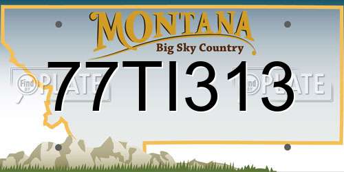 77TI313 Montana License Plate