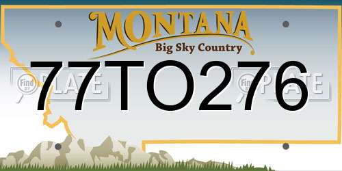 77TO276 Montana License Plate