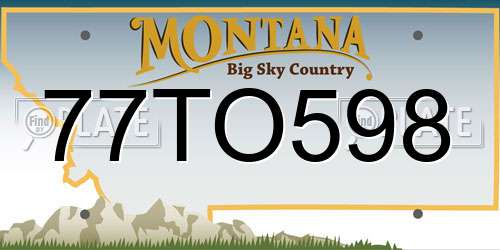 77TO598 Montana License Plate