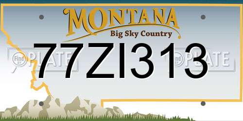 77ZI313 Montana License Plate