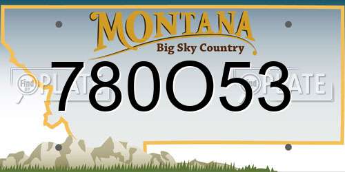 780O53 Montana License Plate