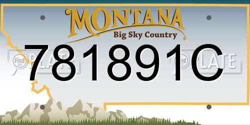 781891C Montana License Plate