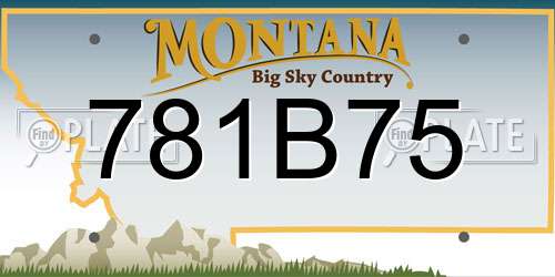 781B75 Montana License Plate
