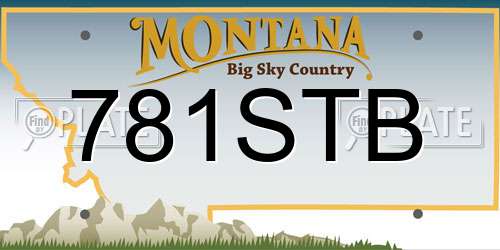 781STB Montana License Plate