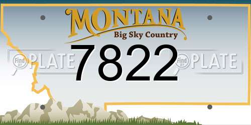 7822 Montana License Plate