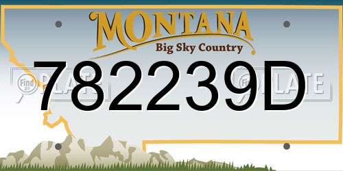 782239D Montana License Plate