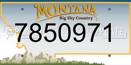 7850971 Montana License Plate