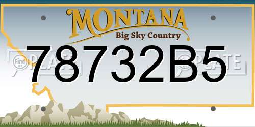 78732B5 Montana License Plate