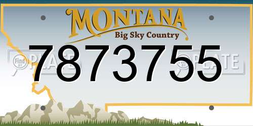 7873755 Montana License Plate