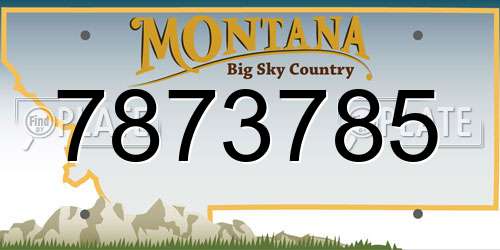 7873785 Montana License Plate