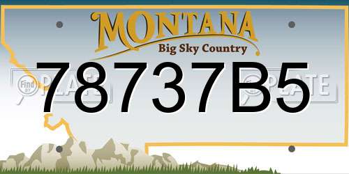 78737B5 Montana License Plate