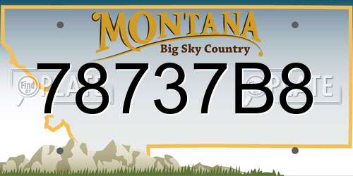 78737B8 Montana License Plate