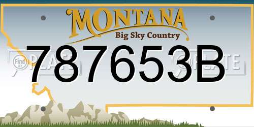 787653B Montana License Plate