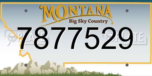 7877529 Montana License Plate