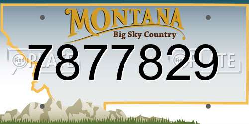 7877829 Montana License Plate
