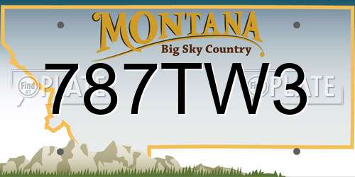 787TW3 Montana License Plate