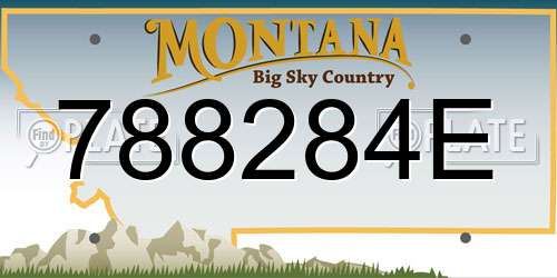 788284E Montana License Plate