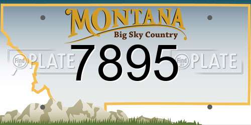 7895 Montana License Plate