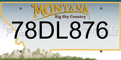 78DL876 Montana License Plate
