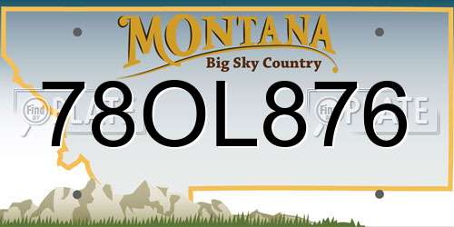 78OL876 Montana License Plate