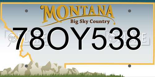 78OY538 Montana License Plate