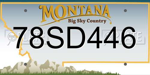 78SD446 Montana License Plate