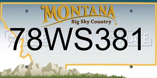78WS381 Montana License Plate