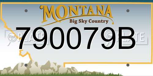 790079B Montana License Plate