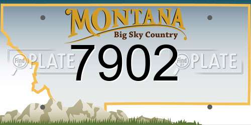 7902 Montana License Plate