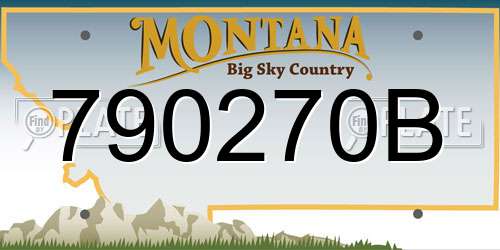 790270B Montana License Plate