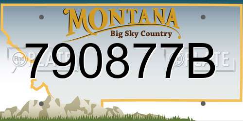 790877B Montana License Plate