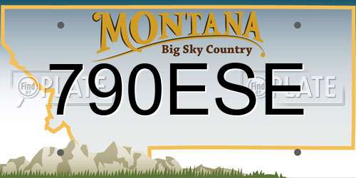 790ESE Montana License Plate