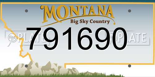 791690 Montana License Plate