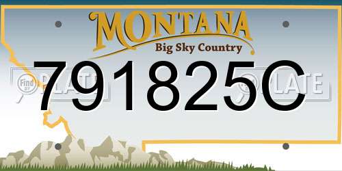 791825C Montana License Plate