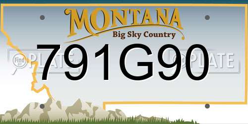 791G90 Montana License Plate