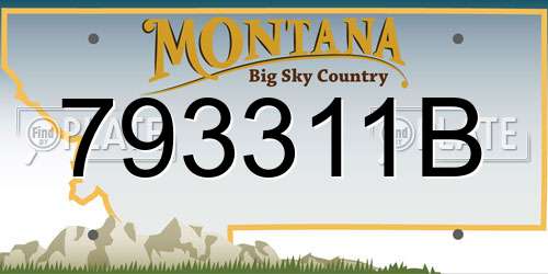 793311B Montana License Plate