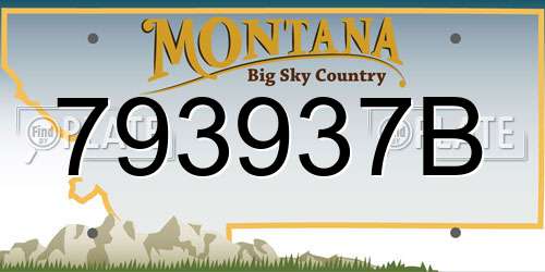 793937B Montana License Plate