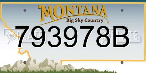 793978B Montana License Plate