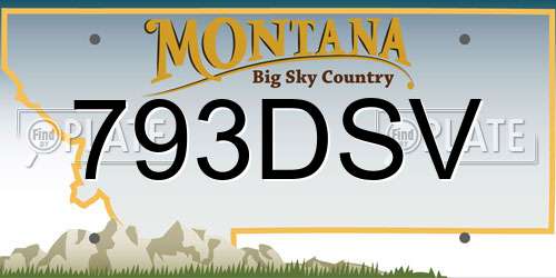 793DSV Montana License Plate