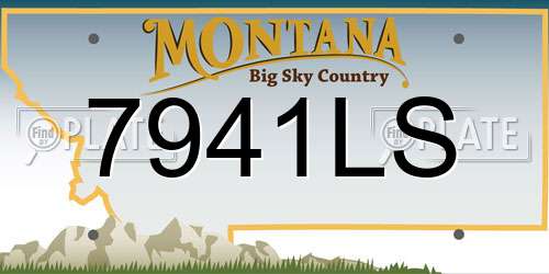 7941LS Montana License Plate