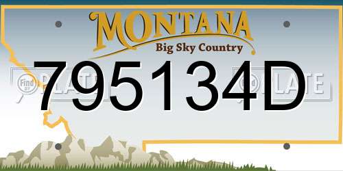 795134D Montana License Plate
