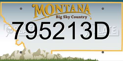 795213D Montana License Plate