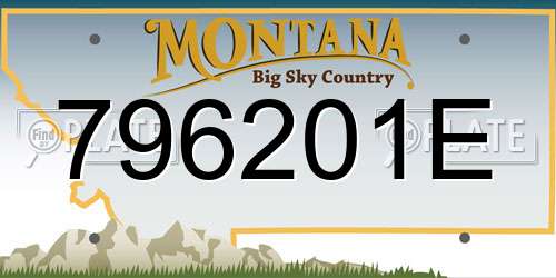 796201E Montana License Plate