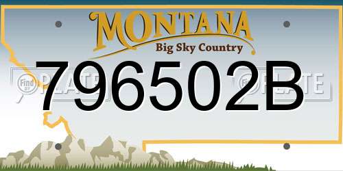 796502B Montana License Plate