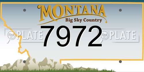 7972 Montana License Plate