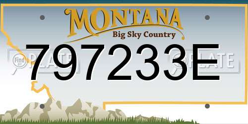 797233E Montana License Plate