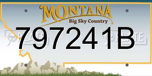 797241B Montana License Plate