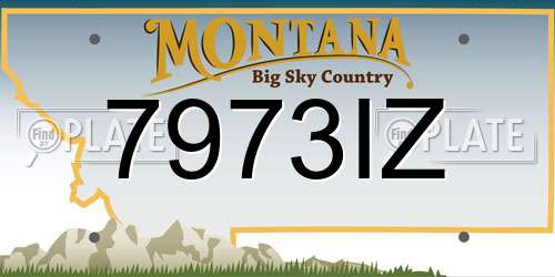 7973IZ Montana License Plate